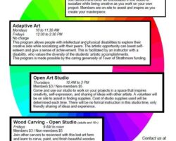 Regular Program - Adaptive Art