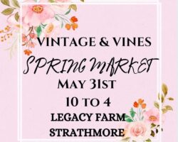 VINTAGE & VINES SPRING MARKET