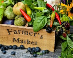 Strathmore Farmers Market