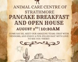 Pancakes & Pets Clinic Open House