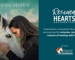 “Reduced Hearts” Film
