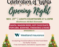2025 Celebration of Lights