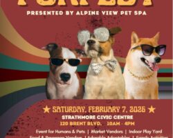 Fur Fest 2026