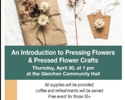 An Introduction to Pressing Flowers & Pressed Flower Crafts