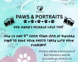 PAWS & PORTRAITS