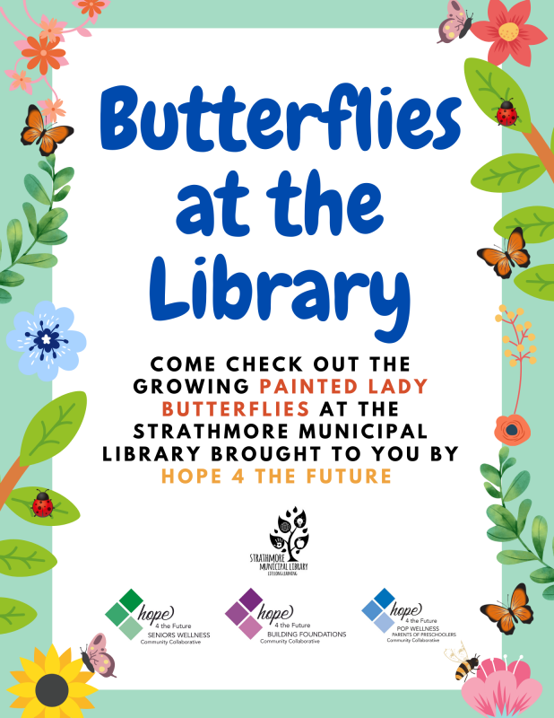 Butterflies at Library