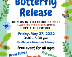 Butterfly Release Event