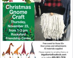 Christmas Gnome Craft 55+