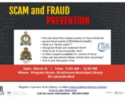 Scam and Fraud Prevention