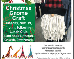 Christmas Gnome Craft - Strathmore