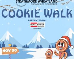 Wheatland Chamber of Commerce Christmas Cookie Walk!