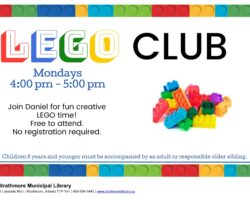 LEGO Club