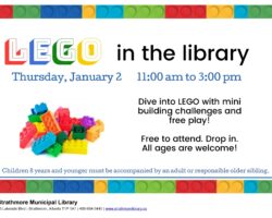 LEGO in the library